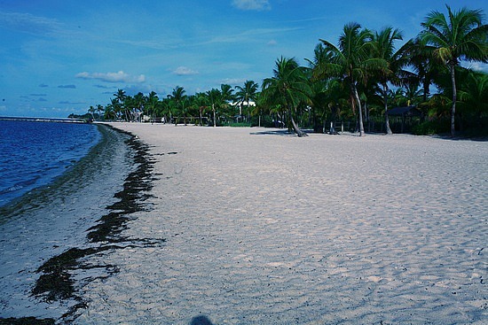 Plage de Key West