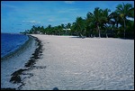 Plage de Key West