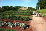 Jardins de Monticello