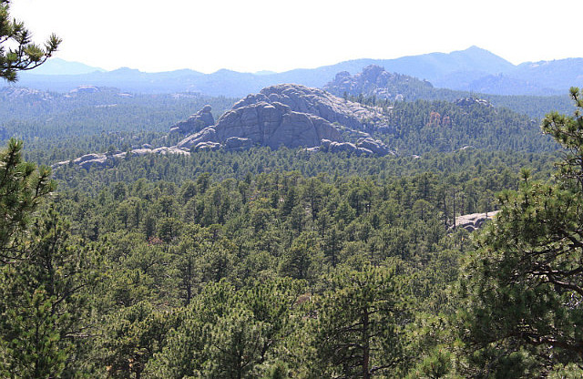Black Hills vues de Iron Mountain