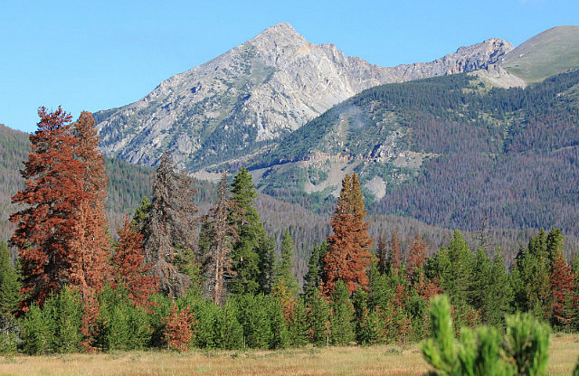 Parc national des Rocky Mountain