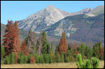 Parc national des Rocky Mountain