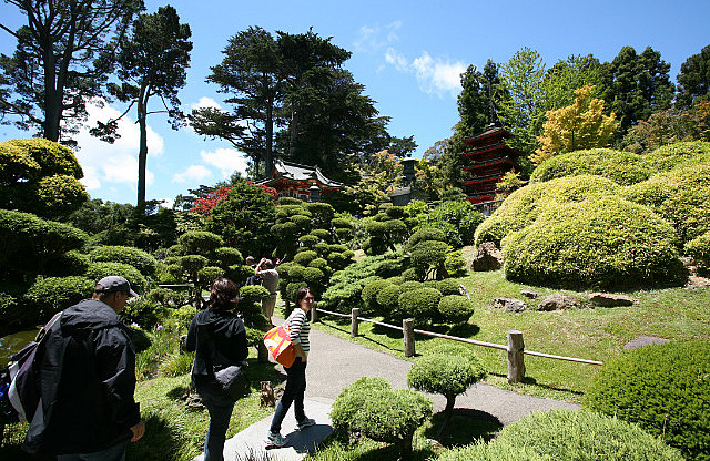 Japanese Tea Garden