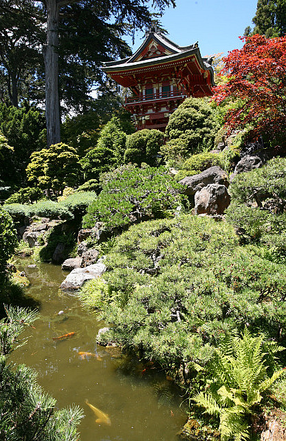 Japanese Tea Garden