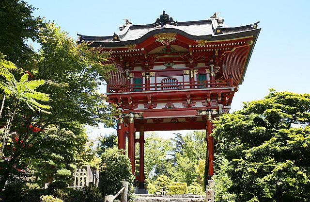 Japanese Tea Garden