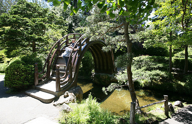 Japanese Tea Garden