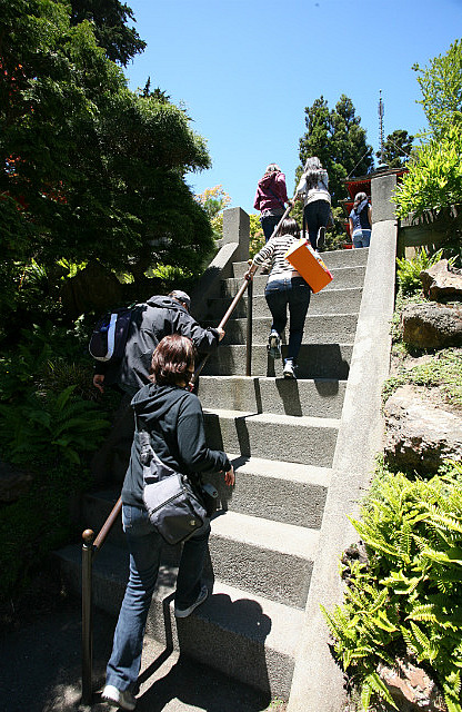 Marches au Japanese Tea Garden