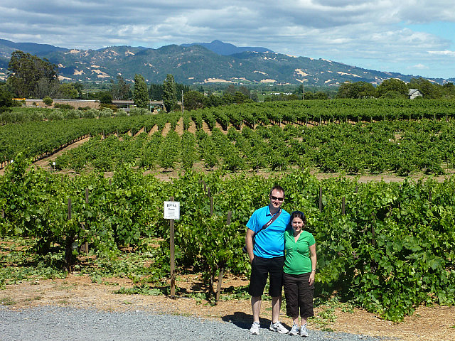 Vignes au vignobles Coppola