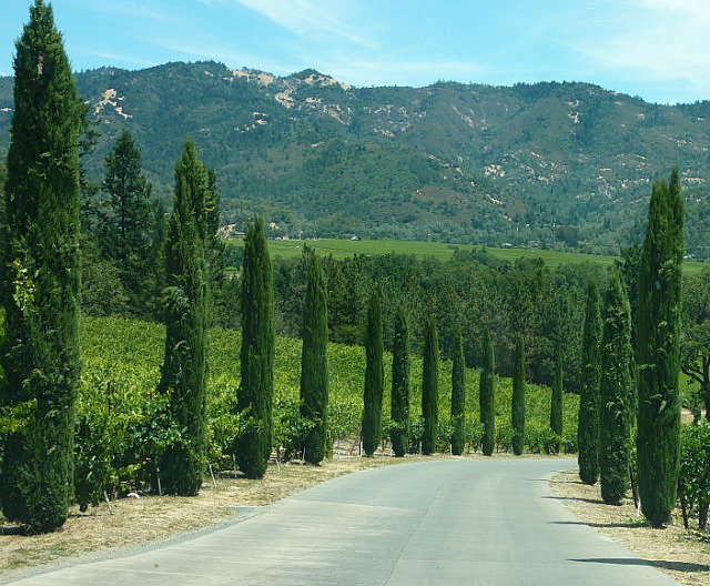 Allée vers le château