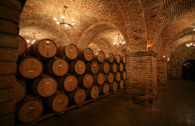 Cave de barriques de chêne