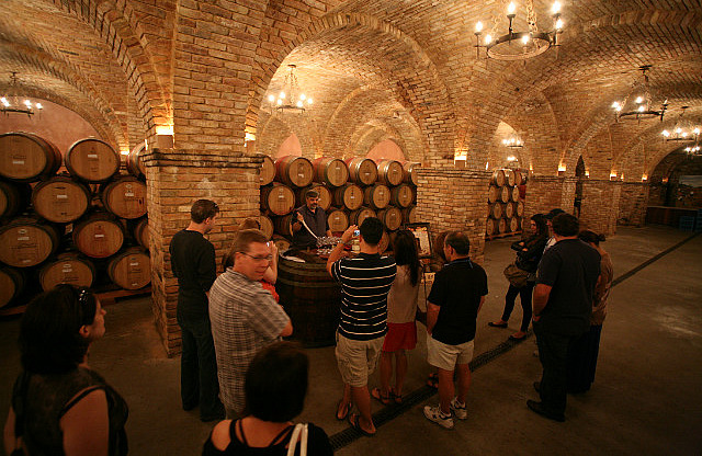 Dégusation d'un vin en barrique de chêne