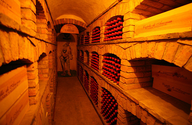 Salle de veillissement du vin