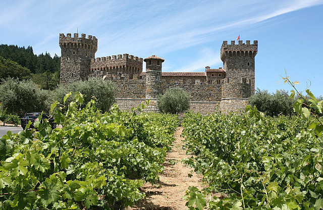 Vignes et château
