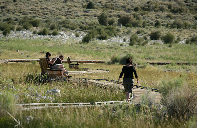 Boardwalk au Mono Lake