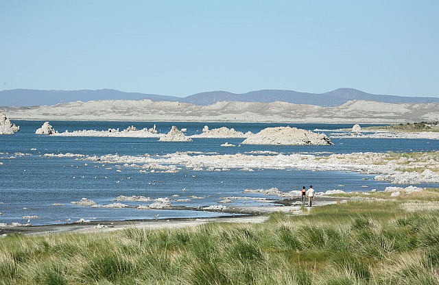 Monolithes à Mono Lake