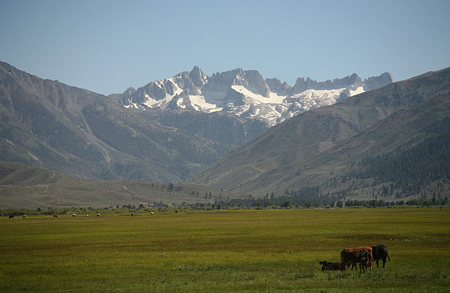 Vue sur les Matternhorns