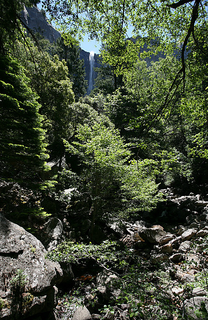 Bridalveil Fall