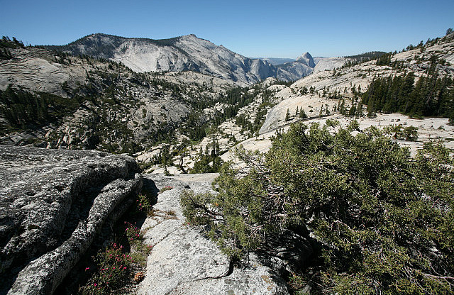 Vue de Olmsted point