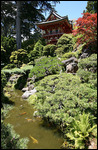 Japanese Tea Garden