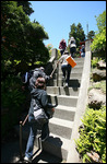 Marches au Japanese Tea Garden