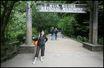 À l'entrée de la foret de Muir