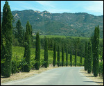 Allée vers le château