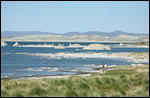 Monolithes à Mono Lake