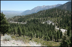 Vue dans la traversé vers le Nevada