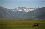 Vue sur les Matternhorns