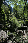 Bridalveil Fall