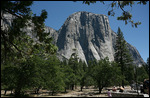 Dans la vallée de Yosemite