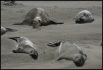 Sieste dans le sable