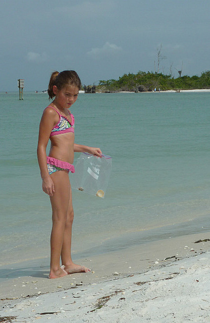 Chasse au coquillage à la plage de Bonita Spring