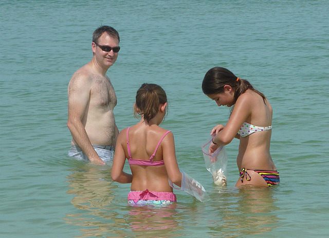 Chasse au coquillage à la plage de Bonita Spring