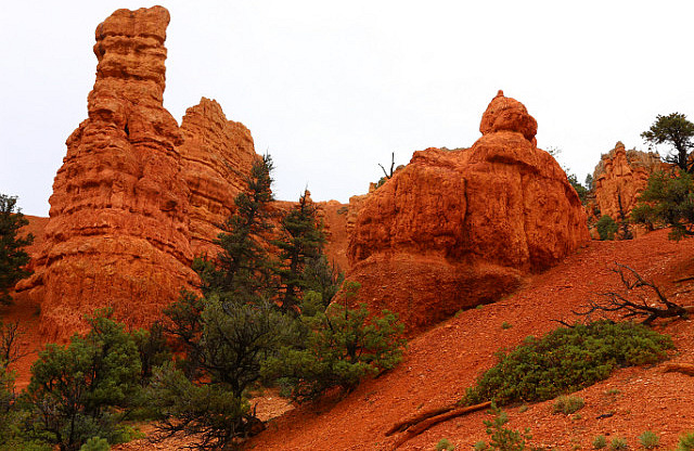 Dixie National Forest