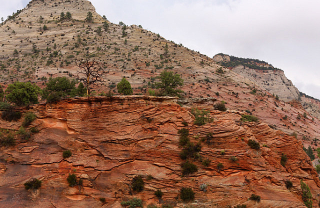 Sur la scenic road en direction de Bryce