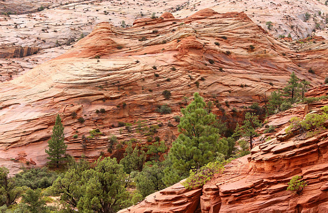 Sur la scenic road en direction de Bryce