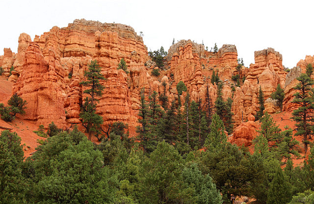 Dixie National Forest