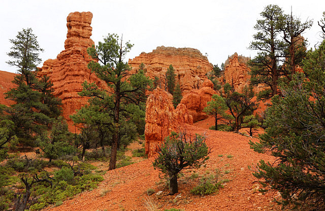 Dixie National Forest