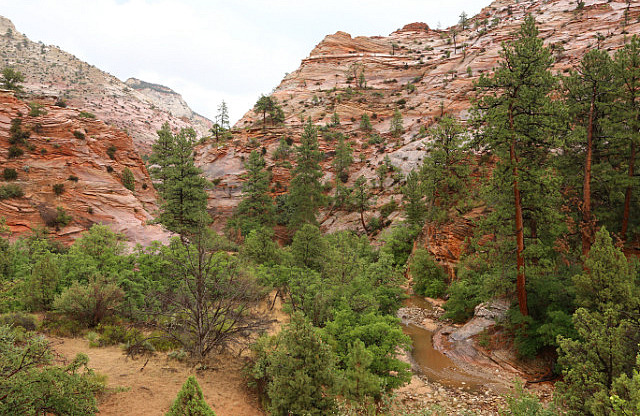 Sur la scenic road en direction de Bryce