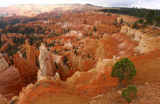 Bryce Canyon - Sunrise point