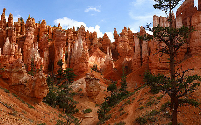 Bryce Canyon - Queens Garden trail