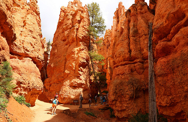 Navajo loop trail - Two bridges path