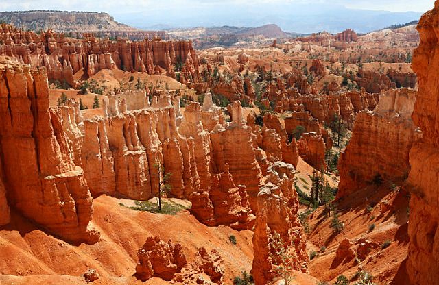 Navajo loop trail