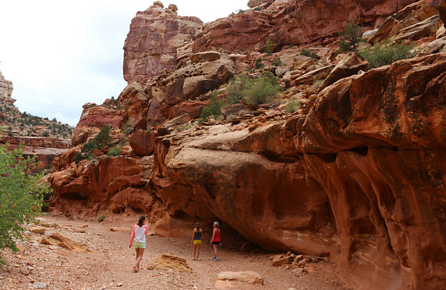 Capitol Reef Grand Wash trail