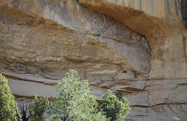 Réserve de grain Anasazi