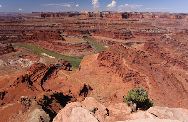 Colorado River vue de Dead Horse Point