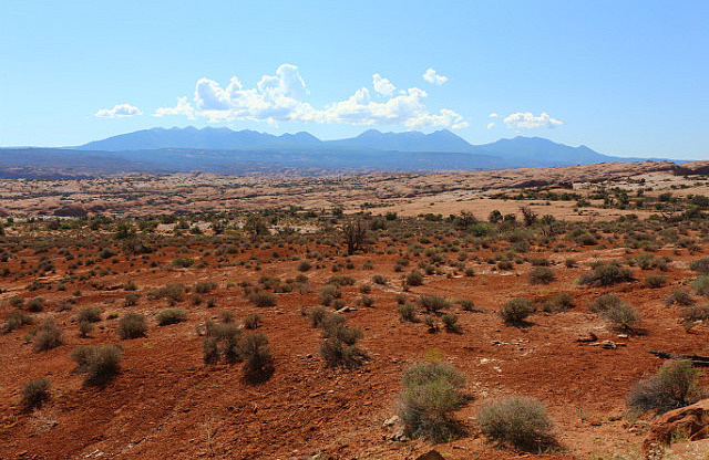 Petrified Sand Dunes