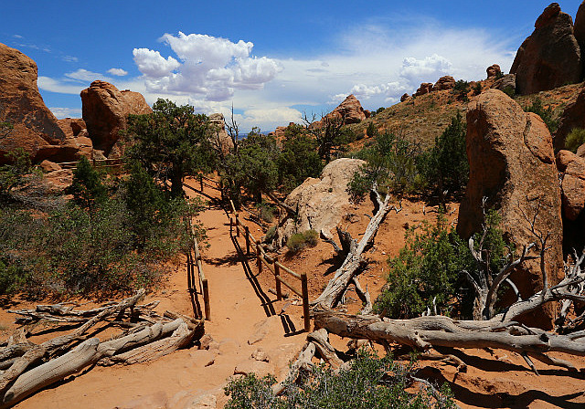 Sentier près de la Landscape Arch