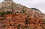 Sur la scenic road en direction de Bryce